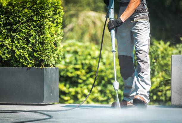 Best Animal Enclosure Cleaning  in Carpendale, WV